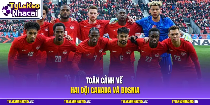 Toàn cảnh về hai đội Canada và Bosnia